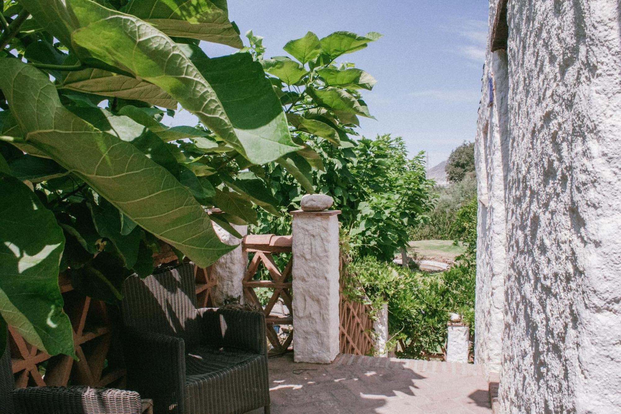 Hotel Rural Alqueria De Los Lentos Nigüelas Cameră foto