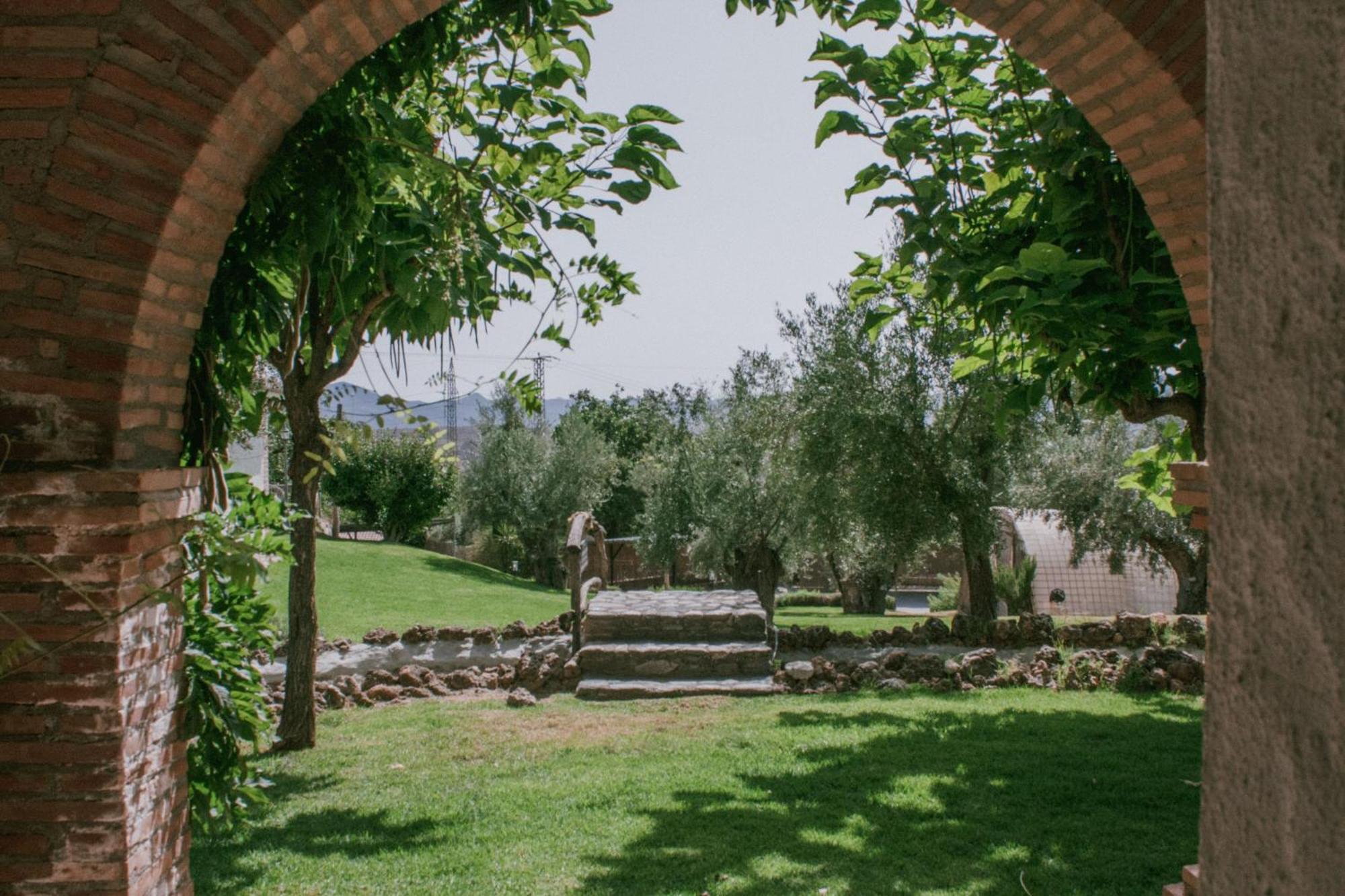 Hotel Rural Alqueria De Los Lentos Nigüelas Cameră foto